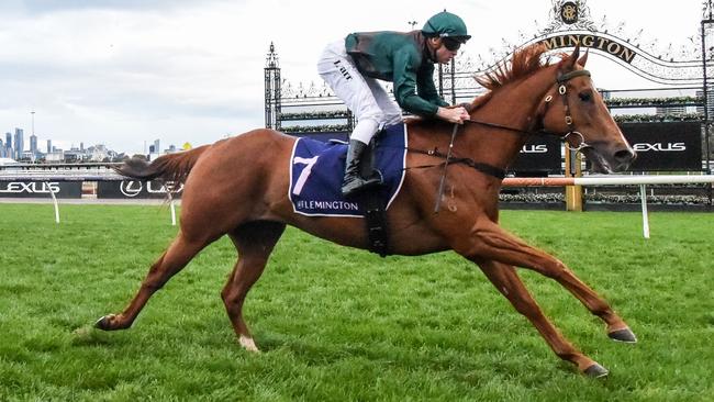 Former Hong Kong sprinter Joyful Fortune was very impressive winning at his Australian debut. Picture: Getty Images