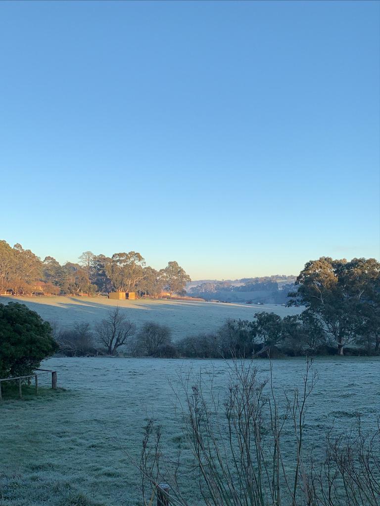 A frosty morning at Handorf. Picture: Emily Dawe