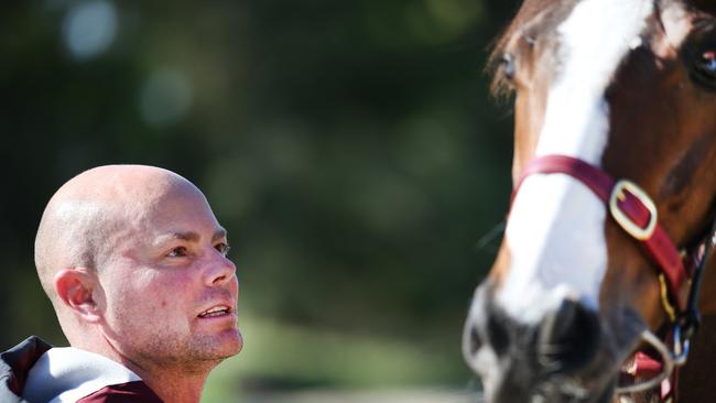 Matt Dunn is set to bring champion sprinter Snitz back for another tilt at the $200,000 Ramornie Handicap (1200m), while Laure Me In is installed for the $200,000 Grafton Cup (2350m) as the Northern Rivers trainer continues his quest for a maiden July Carnival feature win.