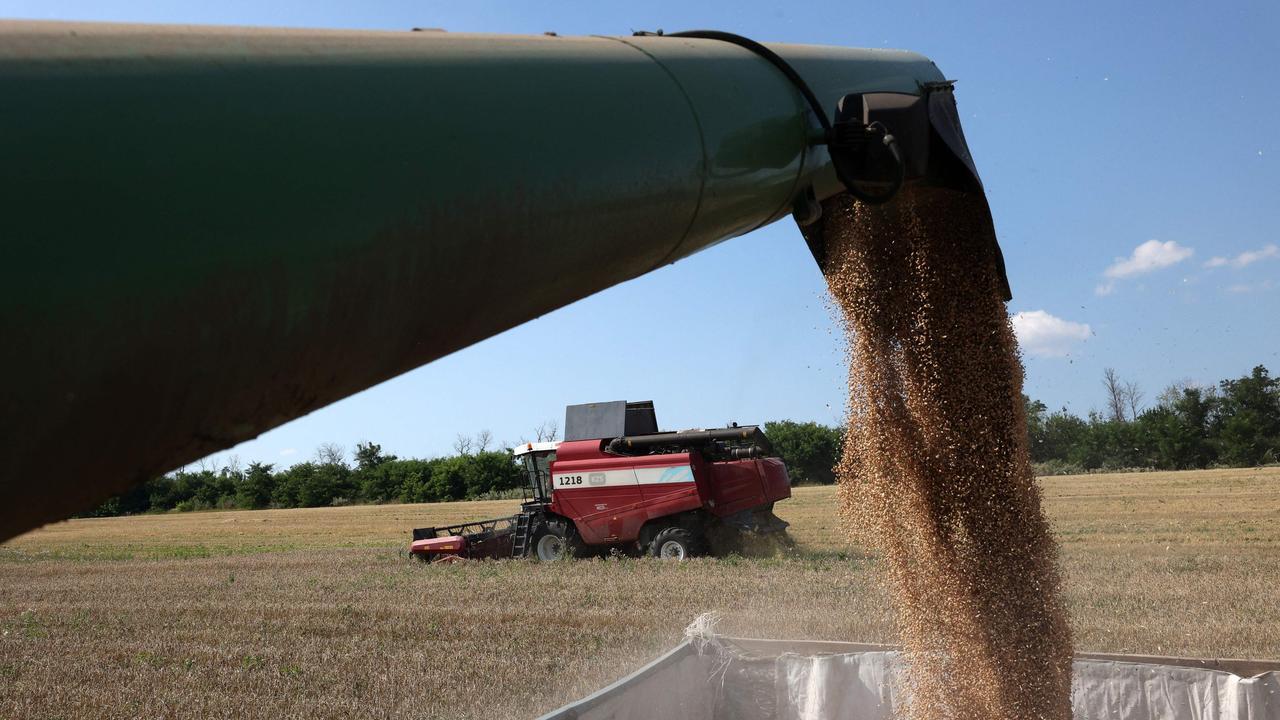 How Ukraine-Russia tensions are hitting Aussie grain and canola prices