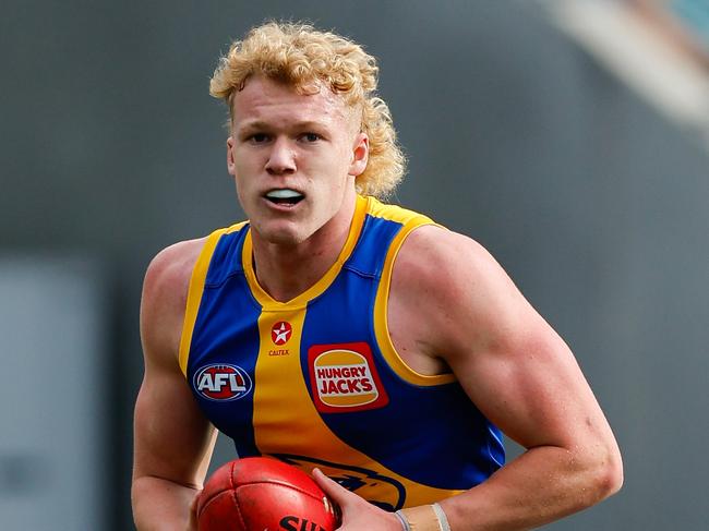 Reuben Ginbey looks best suited at half-back. Picture: Dylan Burns/AFL Photos via Getty Images