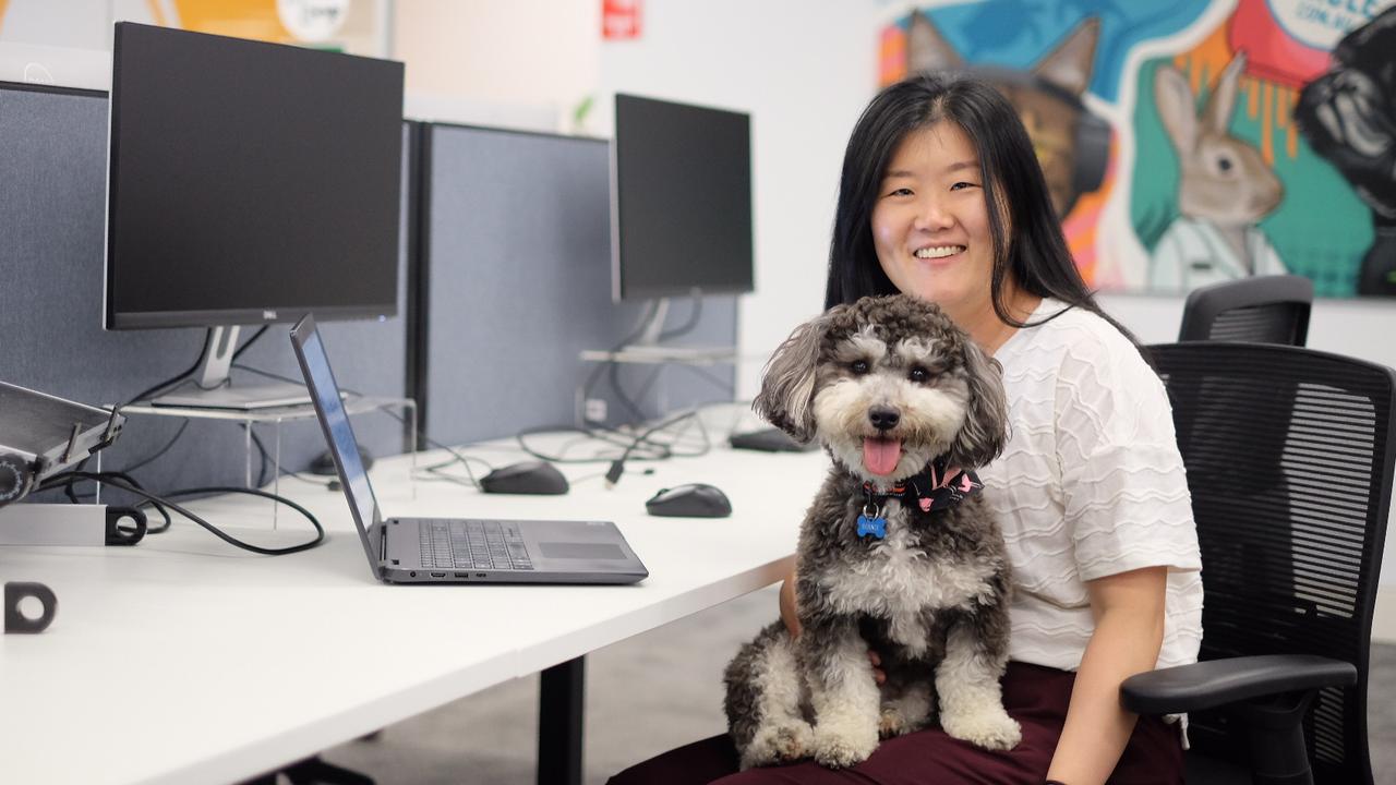 dogs-in-the-office-tipped-to-become-a-norm-in-australia-daily-telegraph