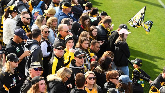 Tigers fans were out in full force this morning to see their team train. Picture: Getty Images