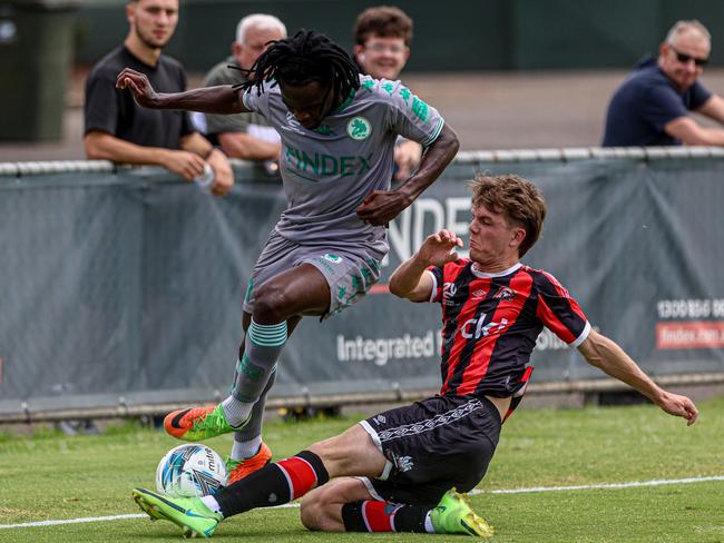 Green Gully in action against Altona Magic.