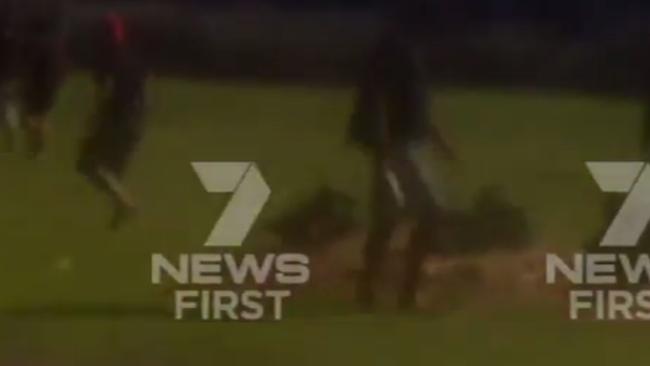 A man appears to be holding a knife in footage captured of a violent brawl in Murwillumbah, NSW.