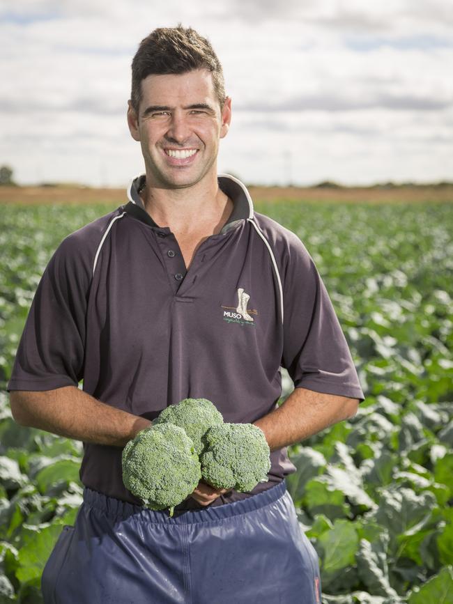 Chris Musolino, from T Musolino and Co. Picture: AUSVEG