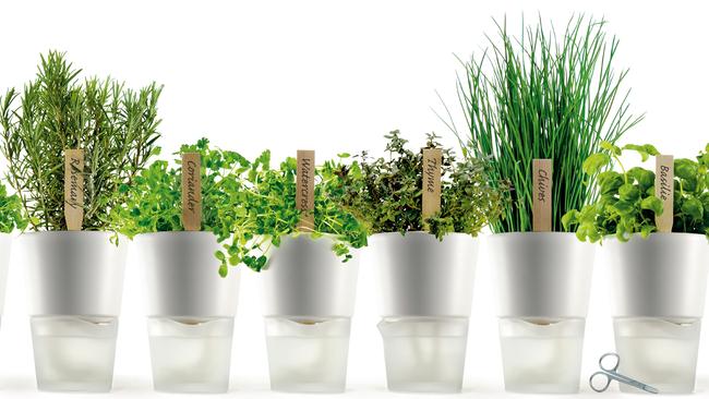 Self-watering pots to help your garden grow.