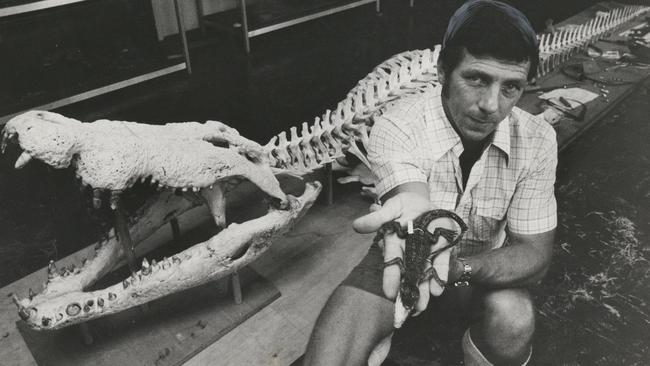 Graeme Gow sits next to Sweetheart's skeleton and a baby croc to show the difference in size. Sweetheart was determined a risk to the public in 1979 and sadly died in a relocation accident. Picture: News Corp Australia