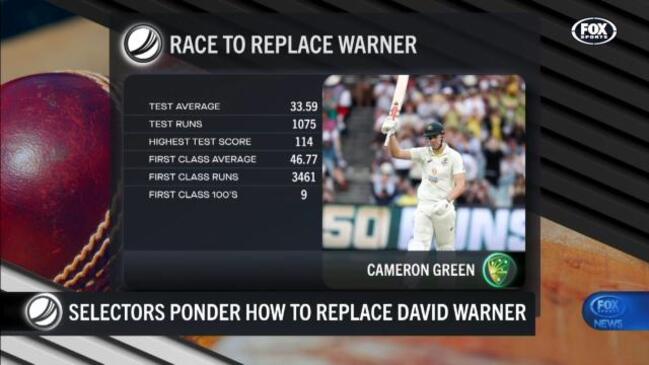 Who will win the race to replace David Warner?