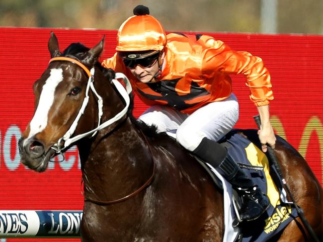 SYDNEY, AUSTRALIA - JUNE 17: Dylan Gibbons riding Brudenell wins Race 6 Bisley Workwear during 