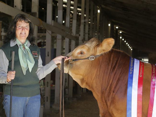 Anita Dixon from Lintwood Limousin with Lintwood Jedi Master who was awarded Grand Champion Limousin, Junior Interbreed Bull and Supreme Beef Bull of Show. Day 2 of the Royal Hobart Show.