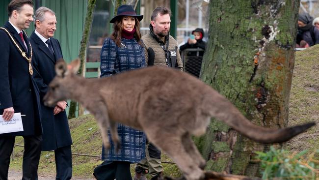 Denmark's Crown princess Mary (2nd R) visits Copenhagen Zoo as the building of "Mary's Australian Garden" begins on February 2, 2022. - Denmark's Crown princess Mary turns 50 on February 5, 2022 and the visit to the zoo is one of many events during her birthday celebrations. (Photo by Liselotte Sabroe / Ritzau Scanpix / AFP) / Denmark OUT