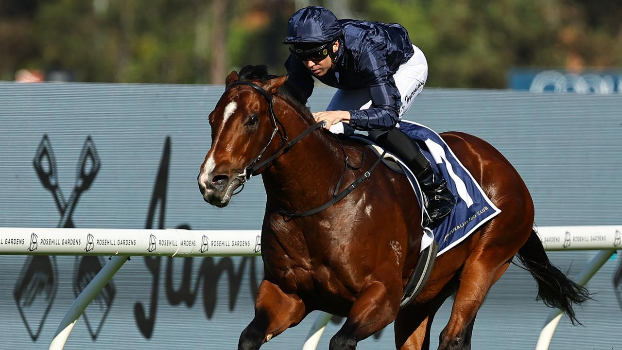 Storm Boy to take his place in The Everest for Coolmore