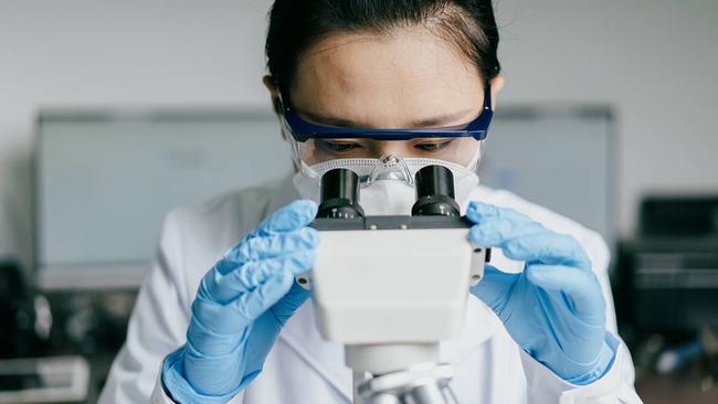 AdAlta’s AdCella is bringing promising Asian cell therapies to Western markets. Pic: Getty Images