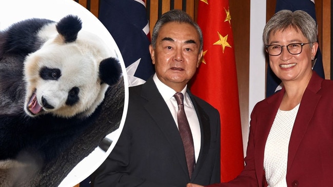 Pandas are set to remain a star attraction at the Adelaide Zoo