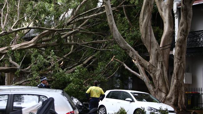 Sydney Wild Weather: Mass Scale Storm Batters Inner Sydney Causing ...