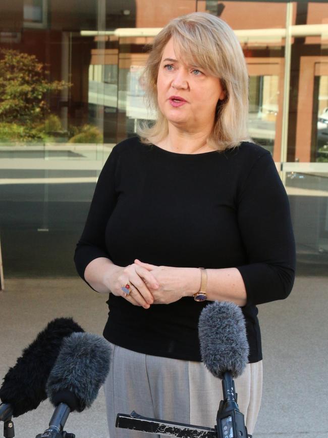 Minister for Science and Technology Madeleine Ogilvie speaks to the media outside the Executive Building in Hobart on Monday, April 3, 2023.