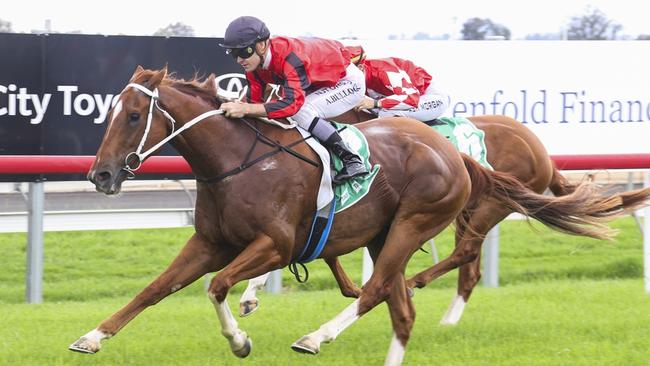 Tamworth, 28/11/2023, Winner - Amicus Curiae, Jockey - Aaron Bullock. Picture: Bradley Photos