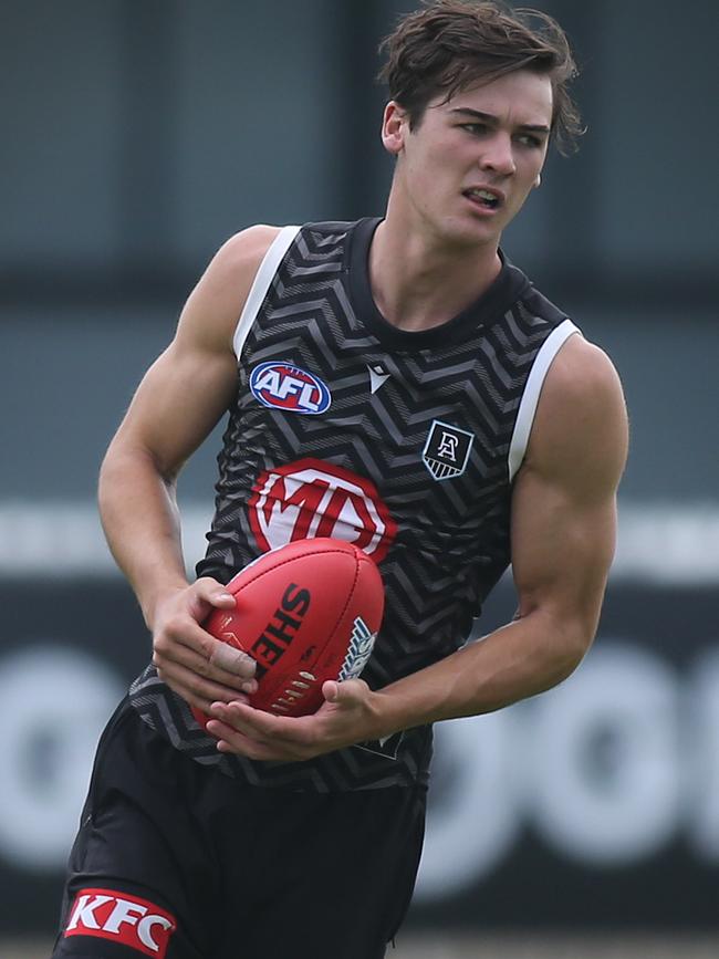 Rozee goes through his paces at Alberton Oval.