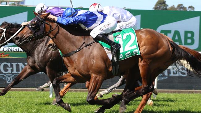 Pink Ivory can overcome the wide barrier and claim victory in the Wagga Wagga Gold Cup on Friday. Picture: Grant Guy