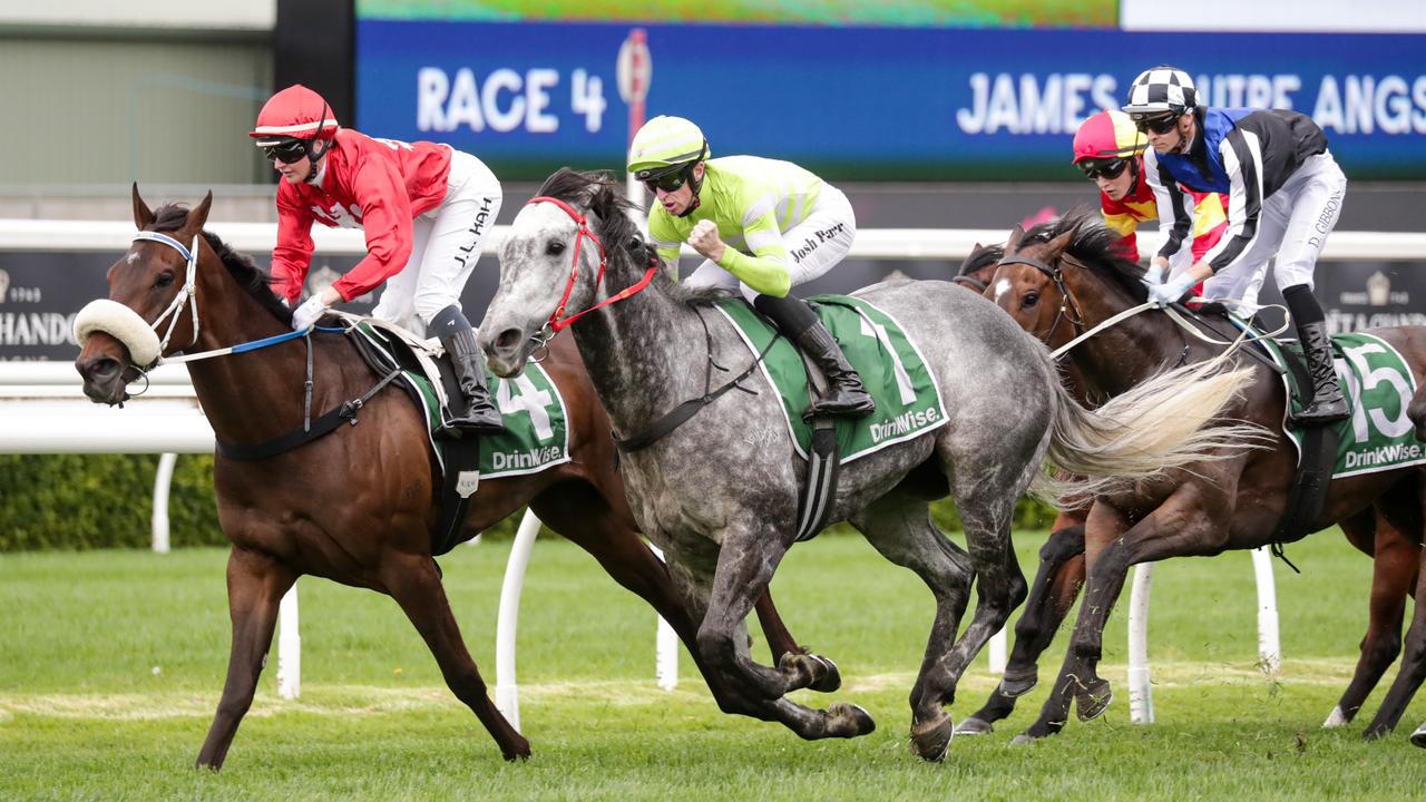 Bella Nipotina wins the 2024 TAB Everest