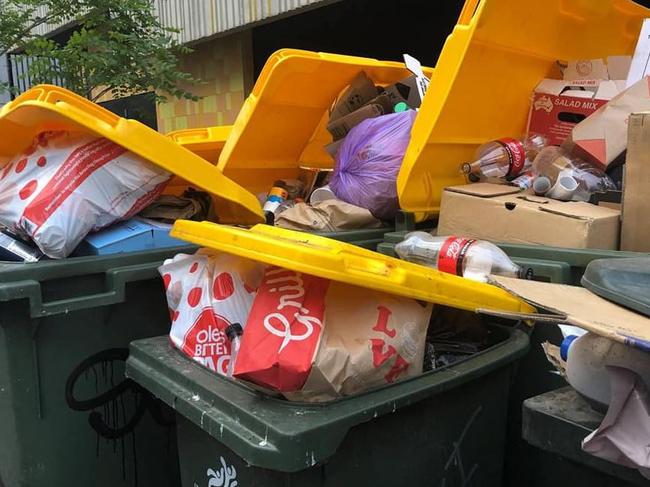 Shortage to spark Christmas bin chaos