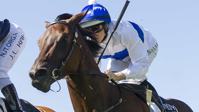 Catalyst will head back to New Zealand after finishing sixth in the Australian Guineas. Picture: AAP