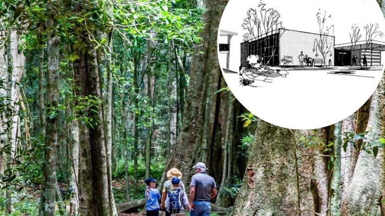 ‘Magical’ Bunya Mountains a step closer to opening $5m centre