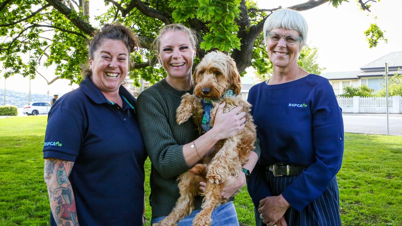 Rescued labradoodle Ted with his foster carer Ingrid Oliver of West Launceston, northern labradoodle foster care project manager Lauren Chenhall and RSPCA CEO Andrea Dawkins. Picture: Patrick Gee