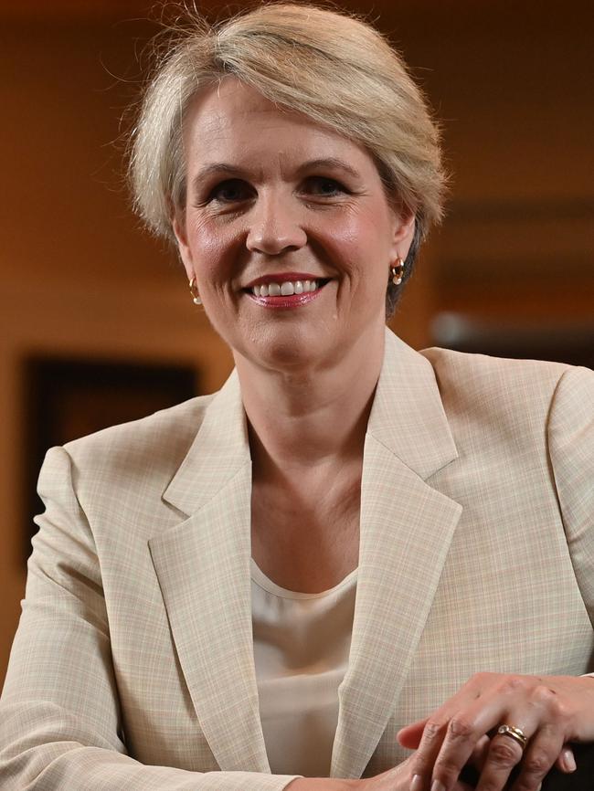 Environment and Water Minister Tanya Plibersek.