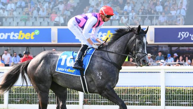 Sghirripa, ridden by Michael Dee, prior to the Oakleigh Plate at Caulfield. Picture: Brett Holburt/Racing Photos via Getty Images