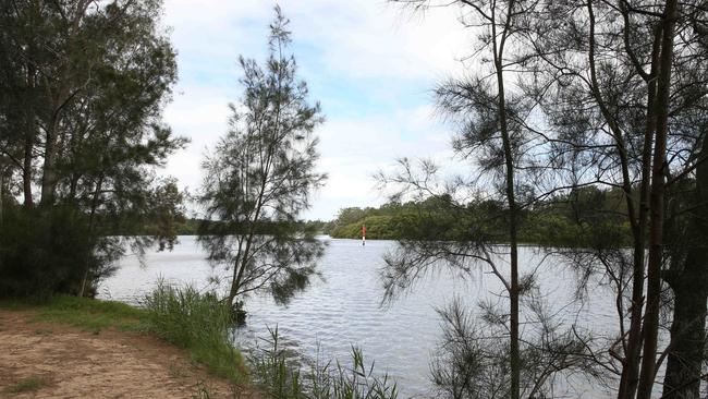 The local health district recently issued a warning about increased mosquito breeding at Deepwater Park in Milperra as some of them were found to carry the Ross River virus. Picture: Robert Pozo