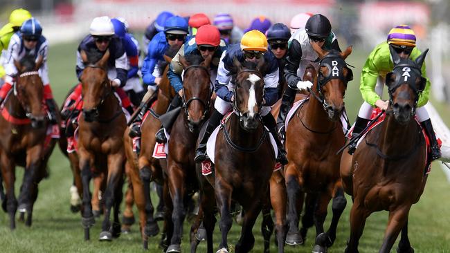 There are so many horses to choose from the formguide. Picture: AAP