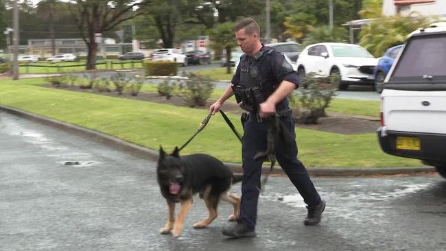 A police dog joins the search for evidence in Beverley Park. Photo: TNV