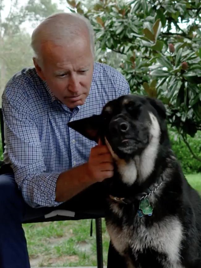 Joe Biden with his adopted dog, Major.