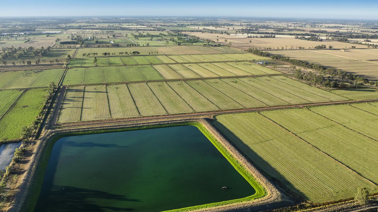 $25m price tag for Victorian dairy farms