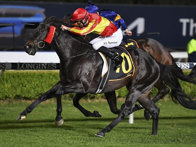 Chief Conductor can add another Canterbury win to his record on Wednesday. Picture: Bradley Photos