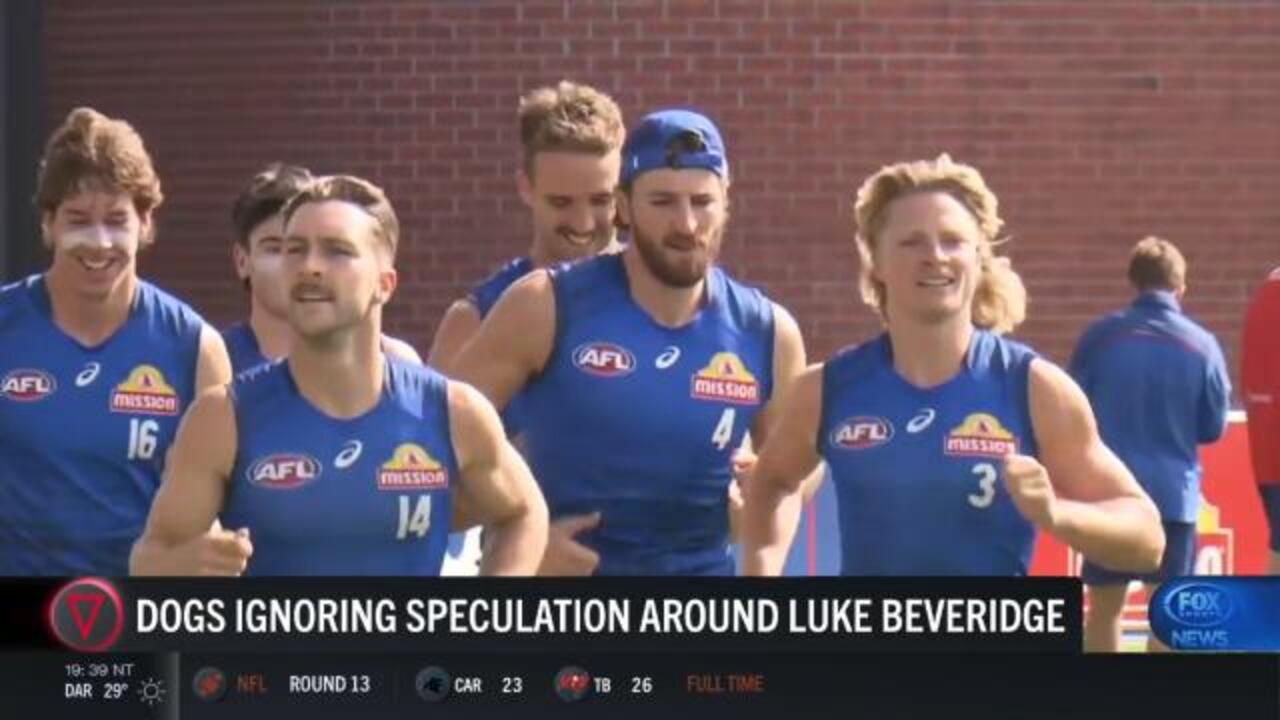 Dogs ignoring coaching speculation