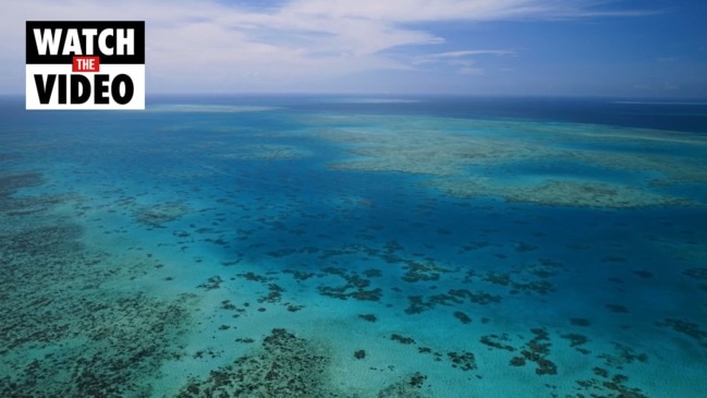 Great Barrier Reef to be shown on the world's biggest screen