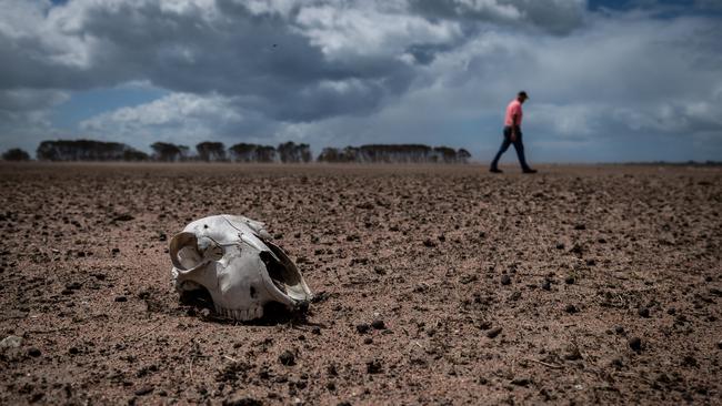 Farmers in the Giffard West region of Gippsland in Victoria are doing it tough. Picture: Jake Nowakowski