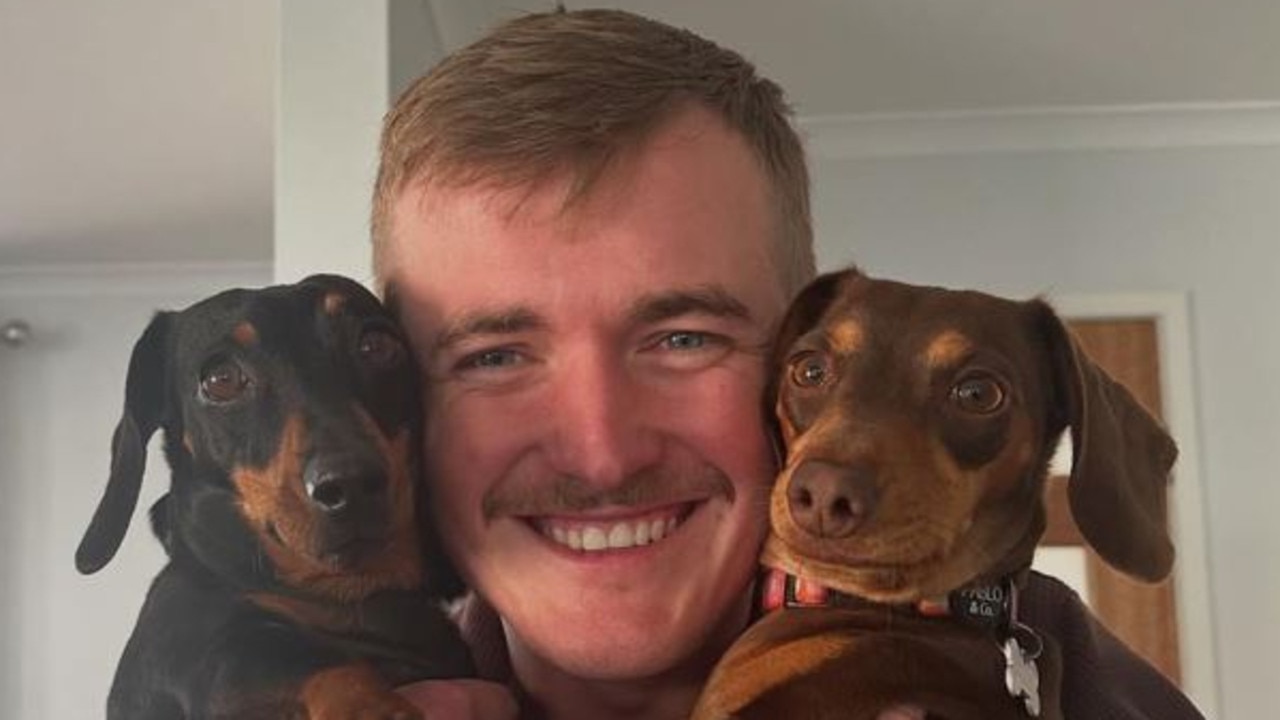 KI castaway to social star: Valerie the sausage dog’s ‘tail’ of triumph