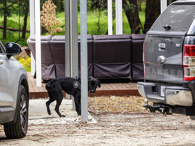 LEONGATHA, AUSTRALIA - NewsWire Photos - 02 NOVEMBER, 2023: Homicide Squad detectives at the Leongatha house of Erin Patterson. A police officer and dog search the car of Erin Patterson. Picture : NCA newsWire / Ian Currie