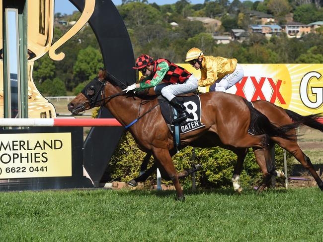 Kirk Matheson will ride Bella Boss at the Ballina Jockey Club TAB meeting tomorrow. Photo Marc Stapelberg