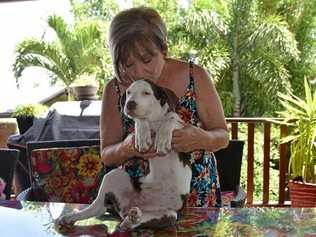 LUCKY PUPPY: Judy Whicker with foster puppy Evie. Picture: Greg Bray