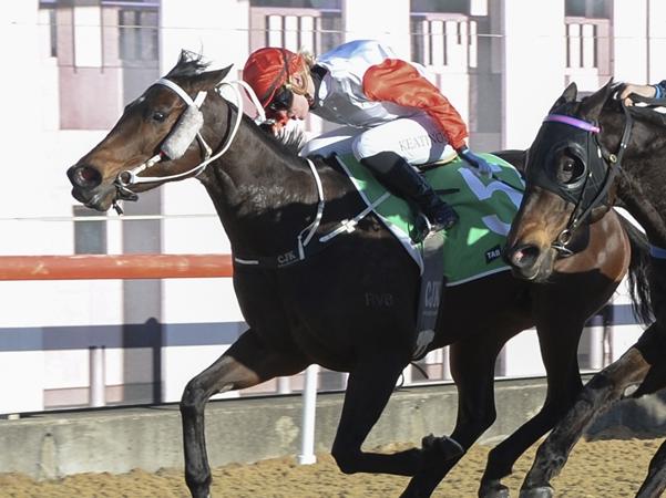 TAB FEDERAL Race 6 - Canberra, 09 August 2024, Winner - Prophet's Pride. Picture: Bradley Photos