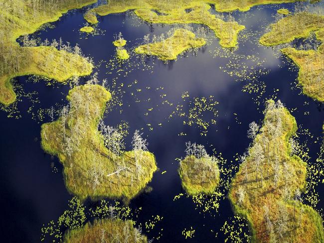 Photo by Dragos Pirvulescu / National Geographic Nature Photographer of the Year contest. The New Continents An aerial view over the swamps of Cenas Tirelis near Riga, Latvia.