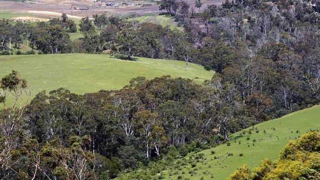 Near the Plenty River in the Derwent Valley. Picture Chris Kidd