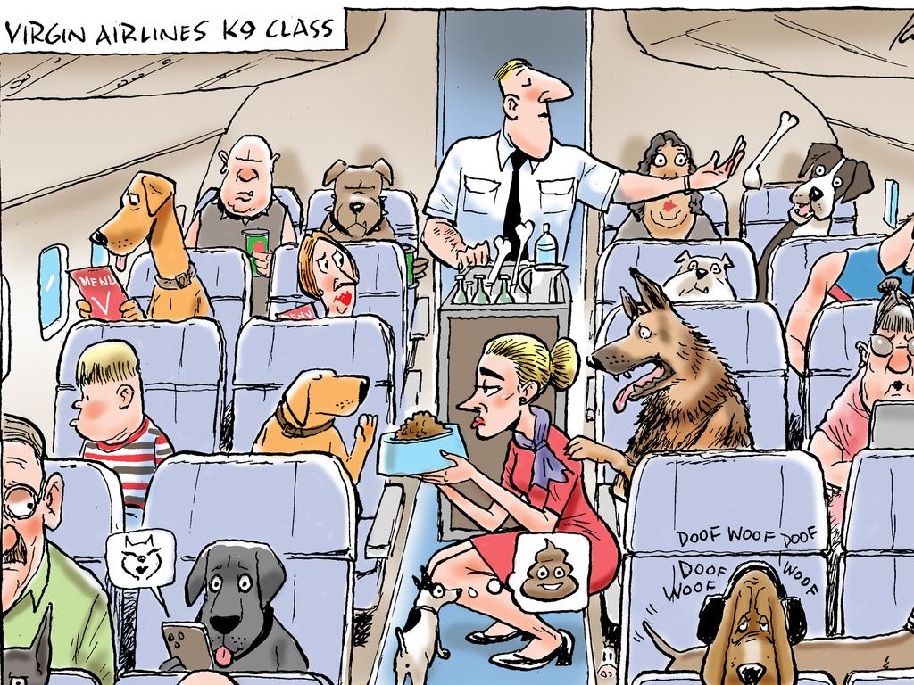 Mark Knight cartoon on pets being allowed in planes