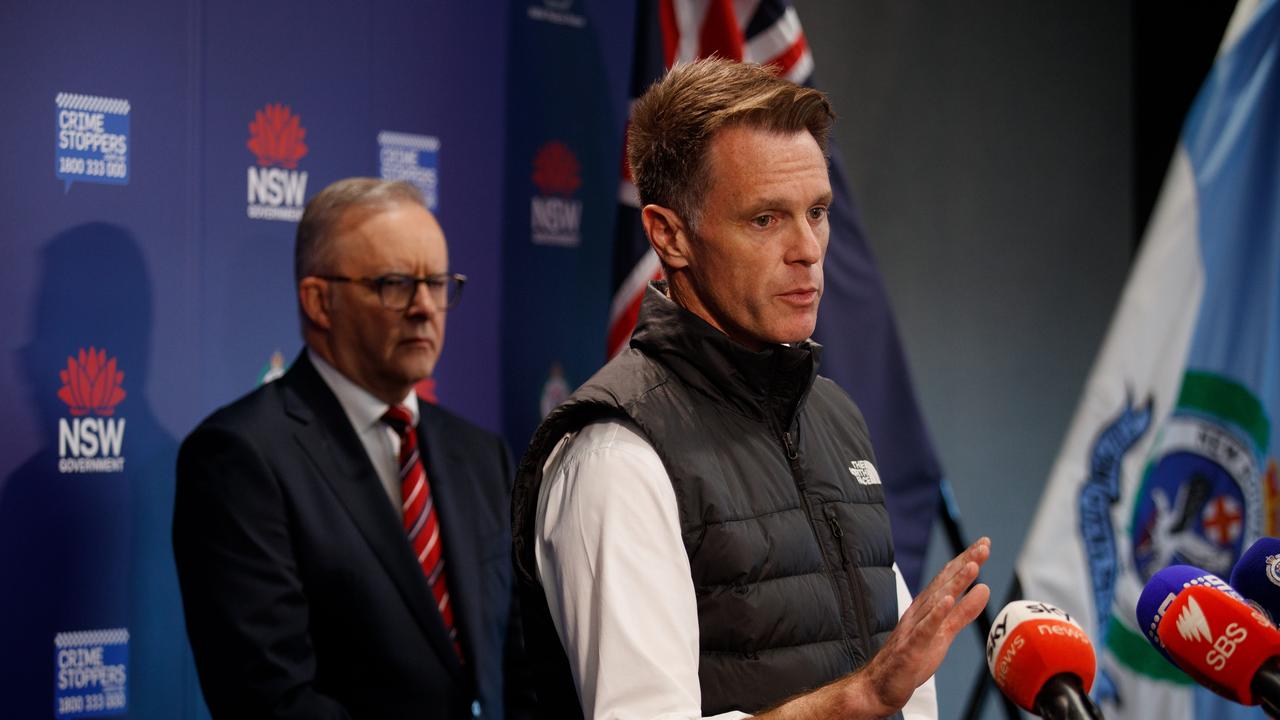 Prime Minister Anthony Albanese and NSW Premier Chris Minns address the media. Picture: NewsWire / Nikki Short