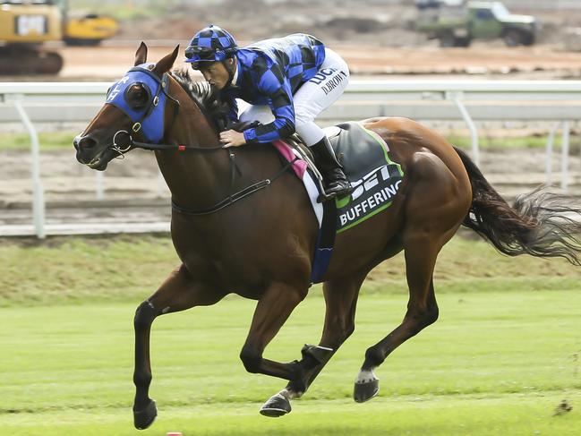 Buffering goes around with Damian Browne (blue colours) in saddle - the first horse to gallop around the new Eagle Farm track. Pic Mark Cranitch.